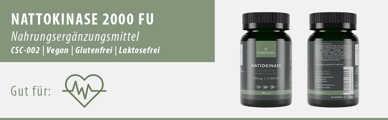 Nattokinase 2000 FU